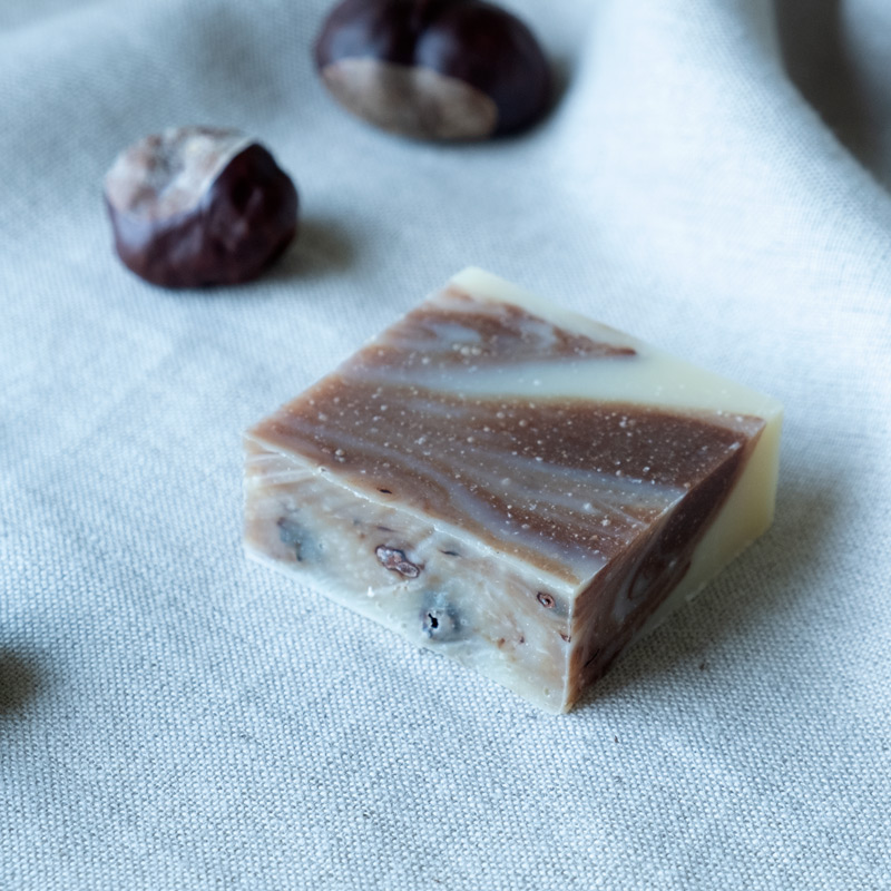 Rosskastanie_image1_4184